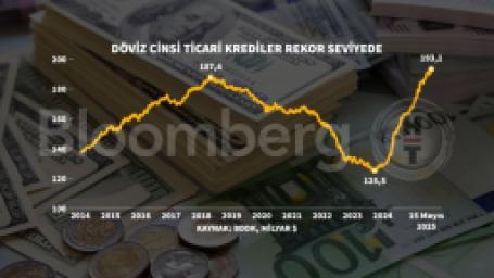 doviz-cinsi-krediler-rekor-seviyede-1