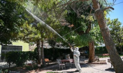 selcuklu-belediyesi-yesil-alan-ilaclamalarini-dis-mahallelerde-de-surduruyor